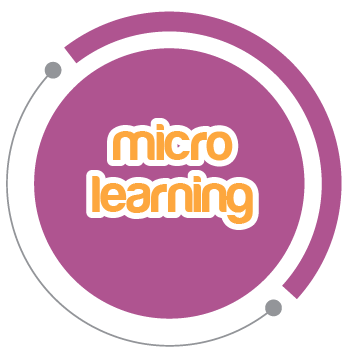 micro-learning
